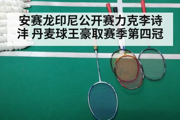 badminton final match