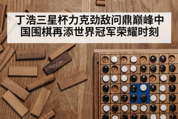 Go board game